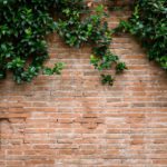 clay bricks