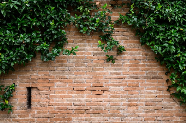 clay bricks