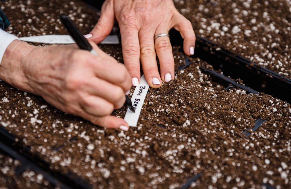 garden soil